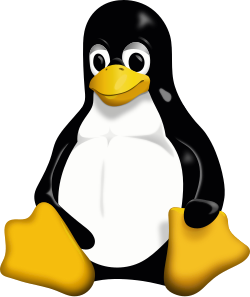 Linux VPS-2